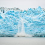 biodiversity institutes for conservation and education