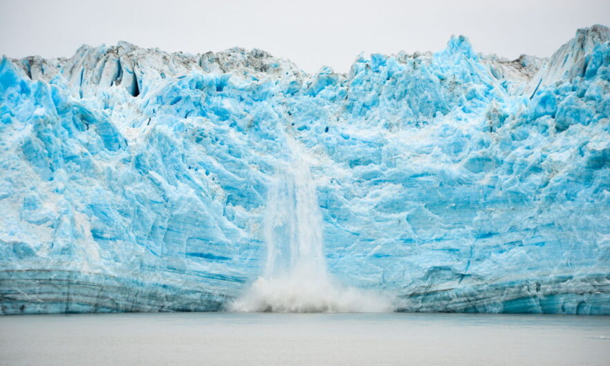 biodiversity institutes for conservation and education