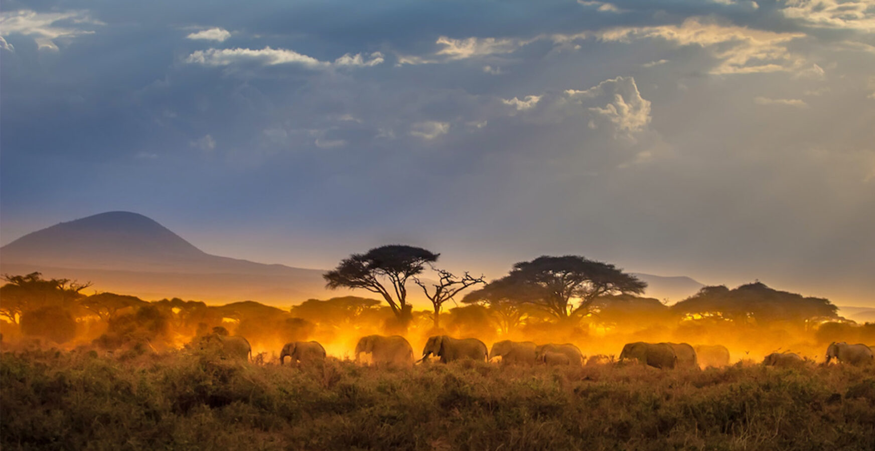 biodiversity institutes for conservation and education