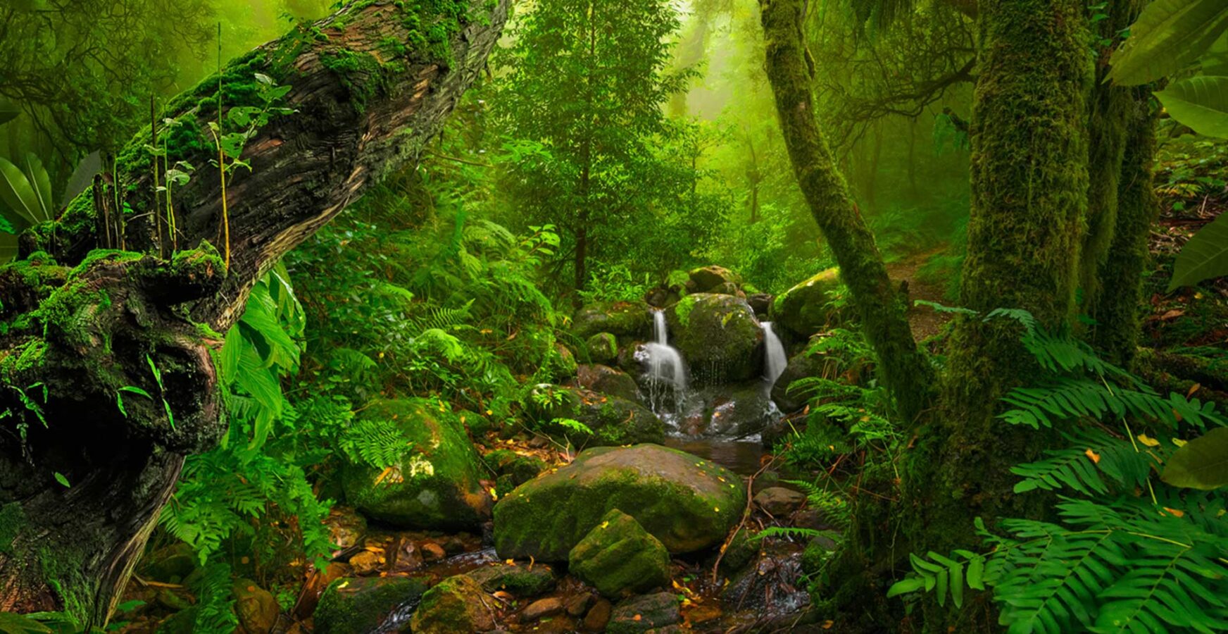 biodiversity institutes for conservation and education