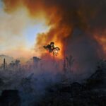 biodiversity institutes for conservation and education