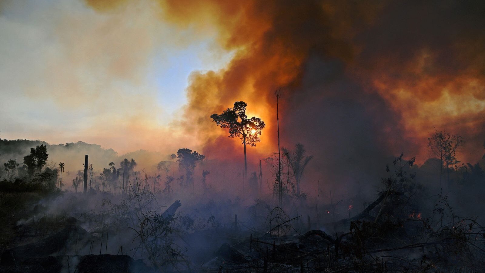 biodiversity institutes for conservation and education