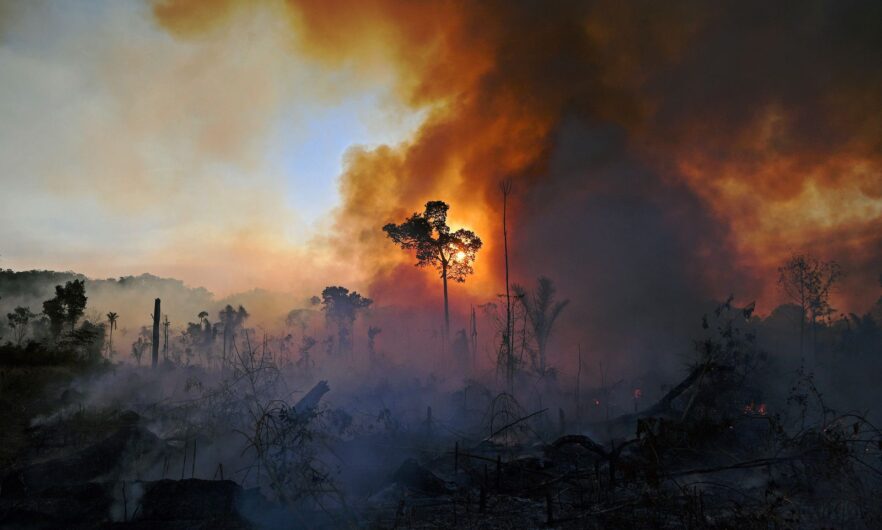 biodiversity institutes for conservation and education